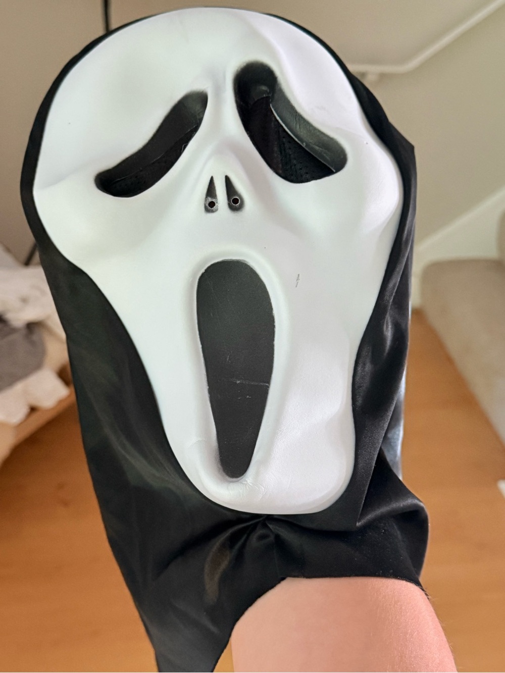 Ghost Face Scream Full Mask w/ Black Hood, White/Black, One Size, Halloween